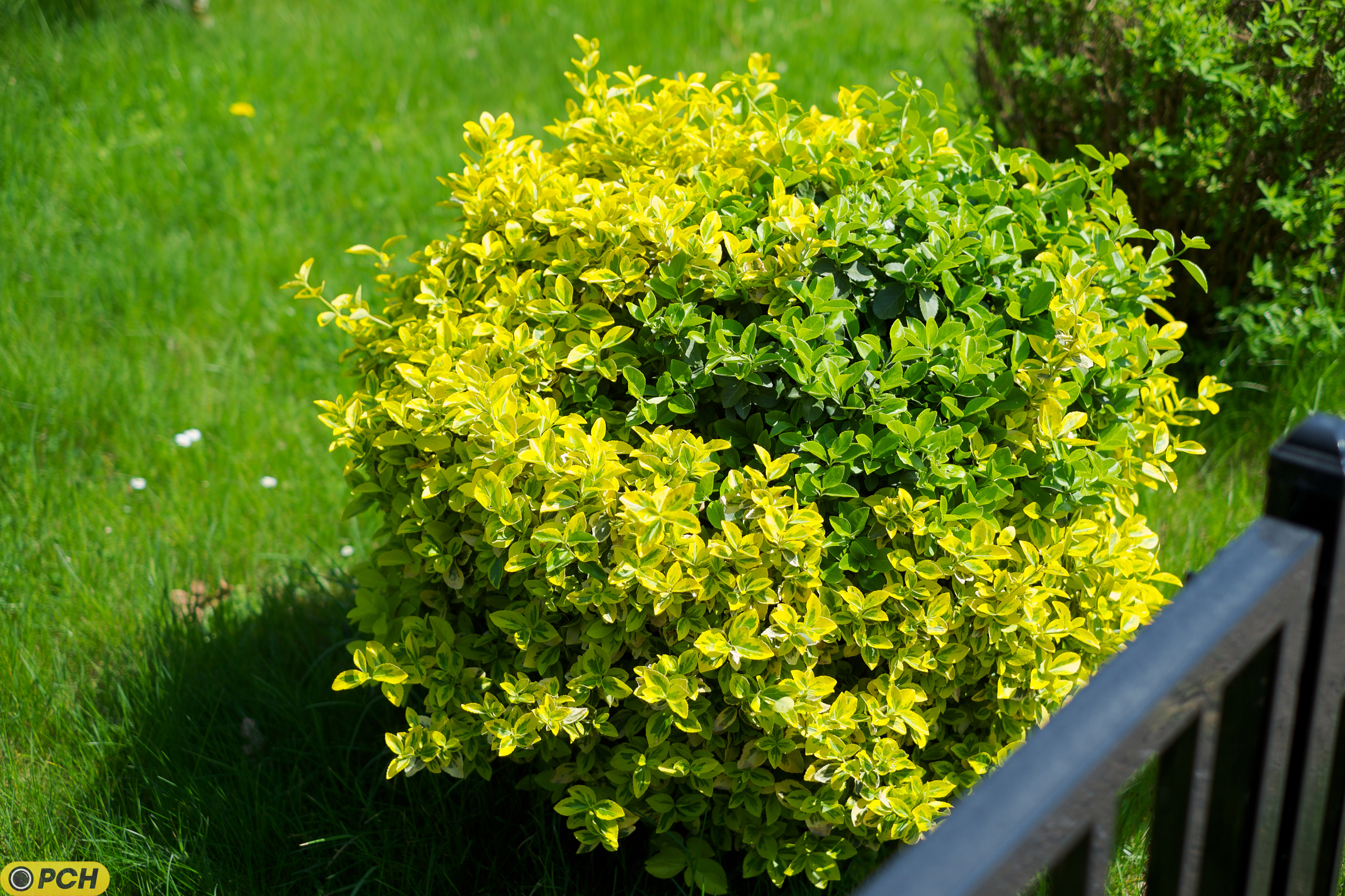 XF35mmF1.4 R